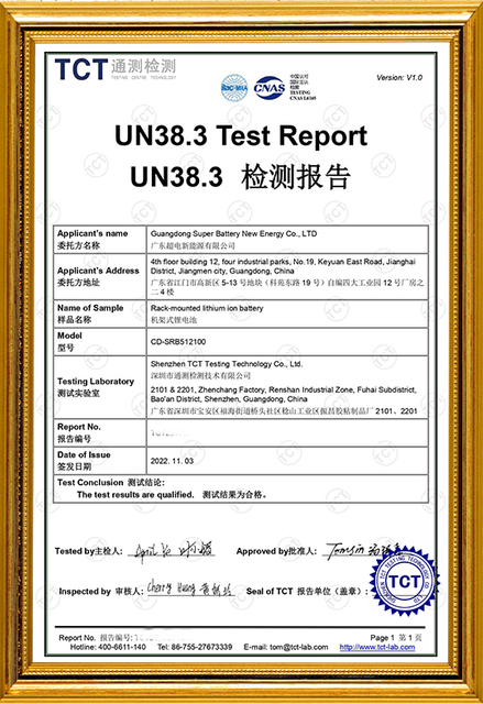 TCT221021B028_CD-SRB512100_UN38.3