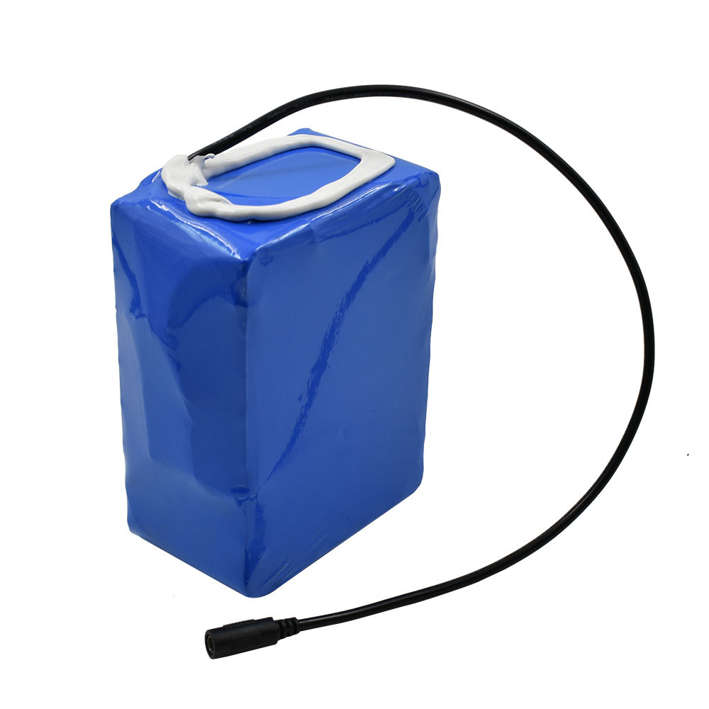 Электрическая тележка для гольфа для инвалидных колясок Li Ion Battery 24v Battery Pack