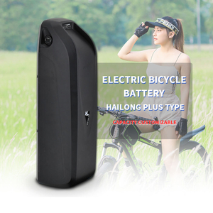 36V 48V Hailong Battery DownTube Электрический велосипед Дорожный горный велосипед Литиевая батарея E-bike Battery Pack 36v For Sale